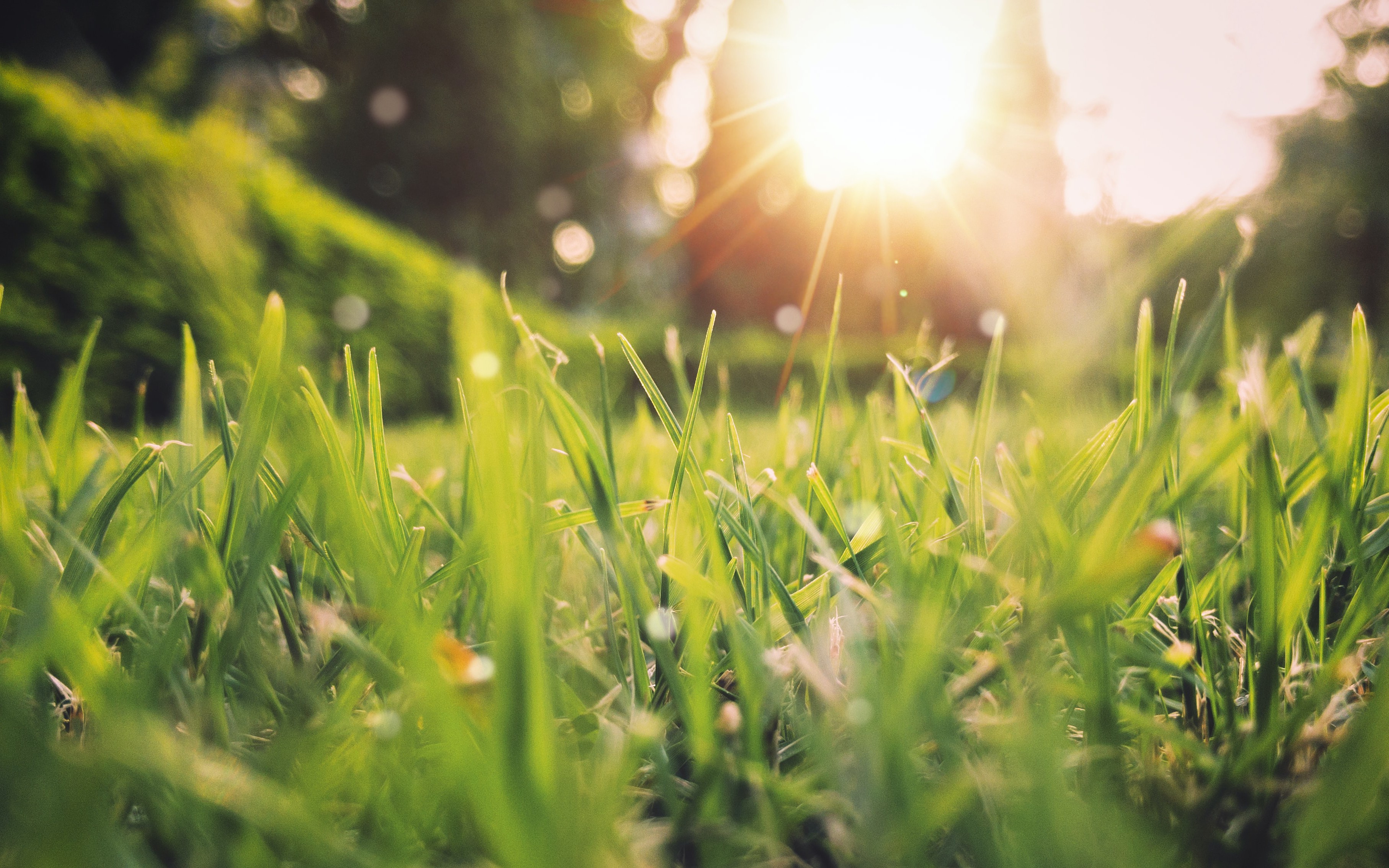 Spring Config Integration With a PCF Application: A Step-by-Step Guide - Vimarsana News