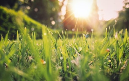 How to Build a Secure Spring Data JPA Resource Server - Vimarsana News