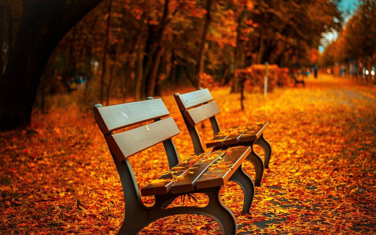 Multiple Spring Boot Applications in the Same Project - Vimarsana News