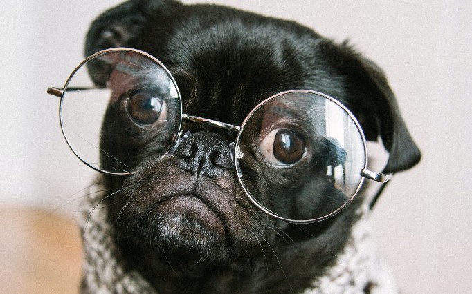 Templating in : Express Pug View Engine - DZone