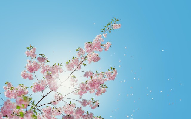 Composing Custom Annotations in Spring - Vimarsana News