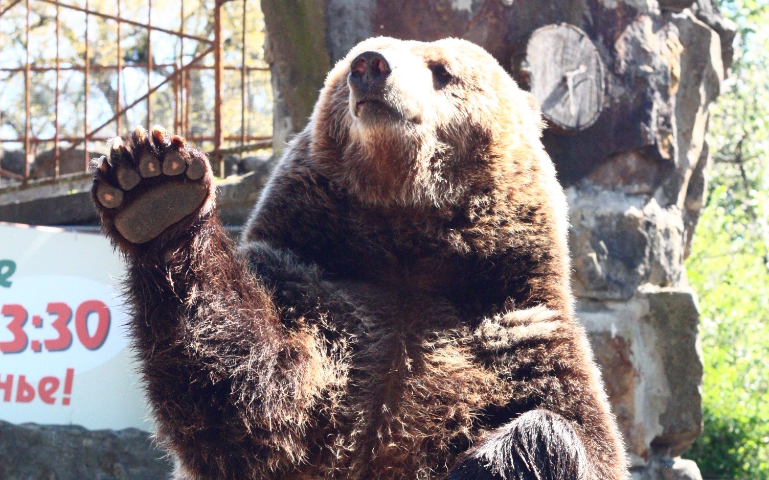 Say Hello to MariaDB TX