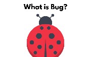 What Is a Bug in Software Testing?