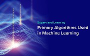 Primary Supervised Learning Algorithms Used in Machine Learning