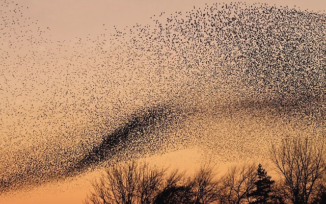 What Are Events? Always 'Decoupled'